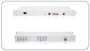 8E1/ETH(GFP��)�f(xi��)�h�D(zhu��n)�Q��